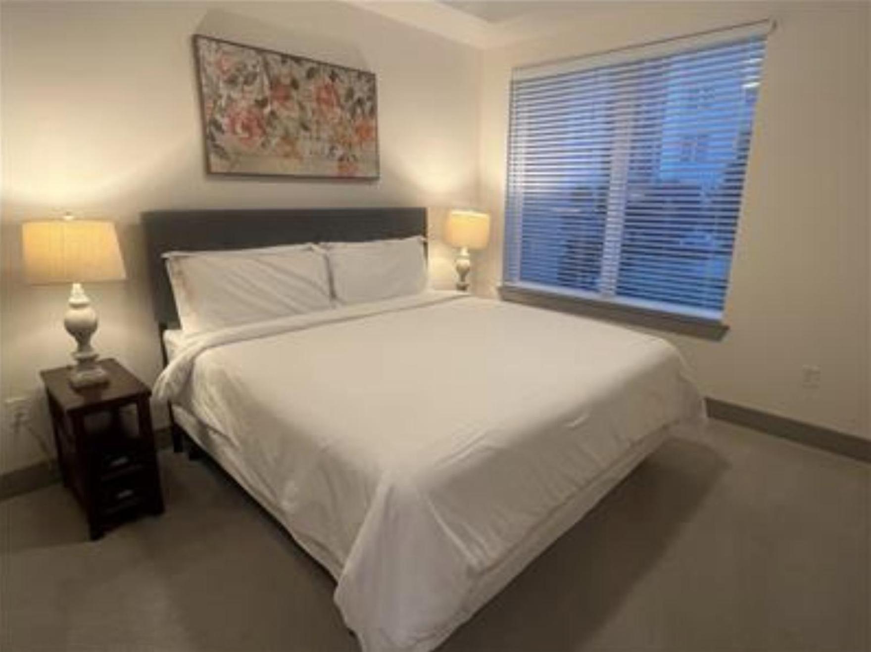יוסטון Resort-Style Apartments Near The Galleria חדר תמונה